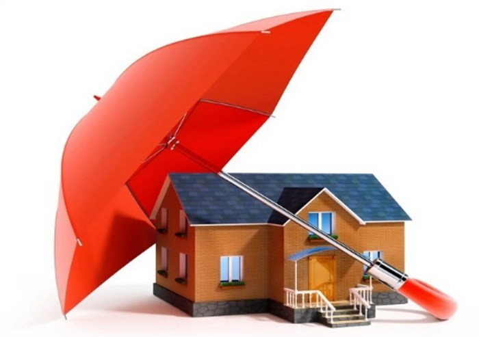 Top 5 Waterproofing Solutions for Your Home Top 5 Waterproofing Solutions for Your Home